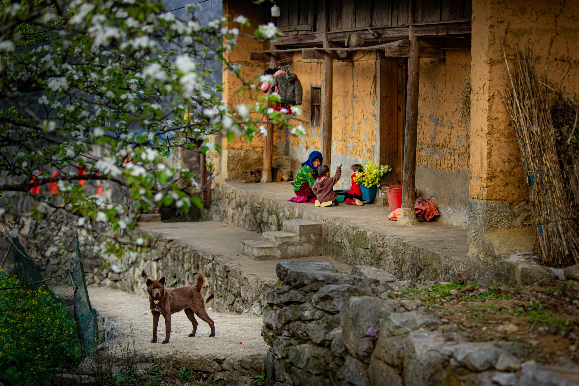 Hinh anh Sau Tết đừng vội quay lại guồng, đi một chuyến để lòng thêm rộng mở 1