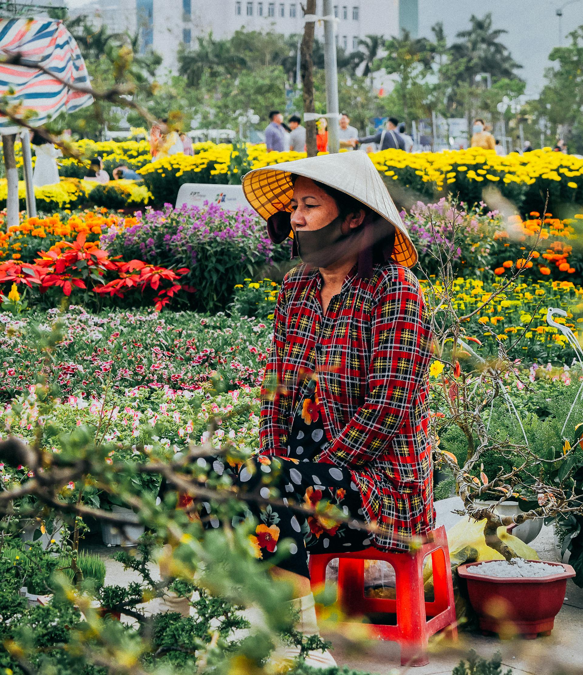 Hinh anh Ra phố mang về một chậu hoa Tết 5