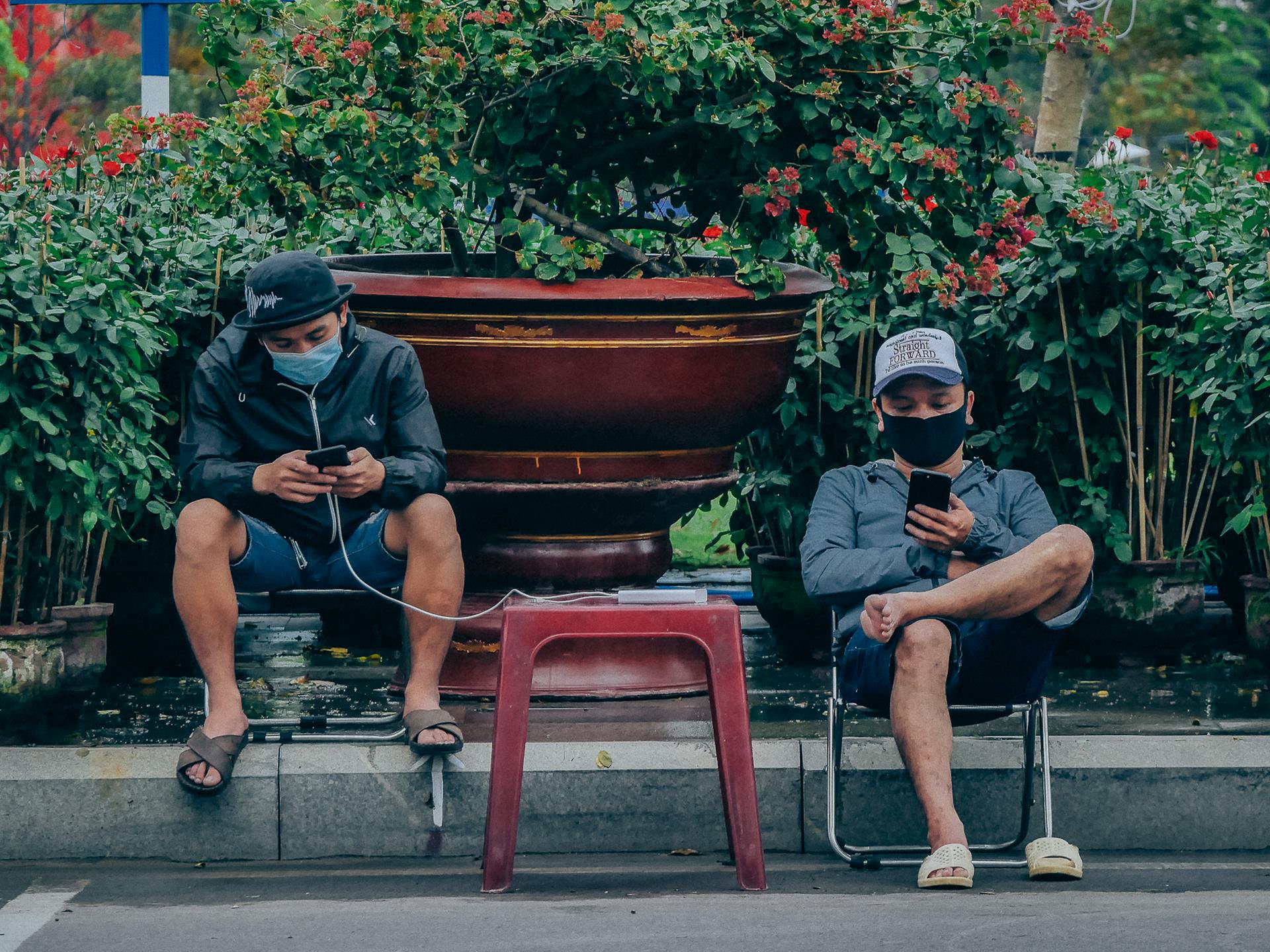 Hinh anh Ra phố mang về một chậu hoa Tết 6