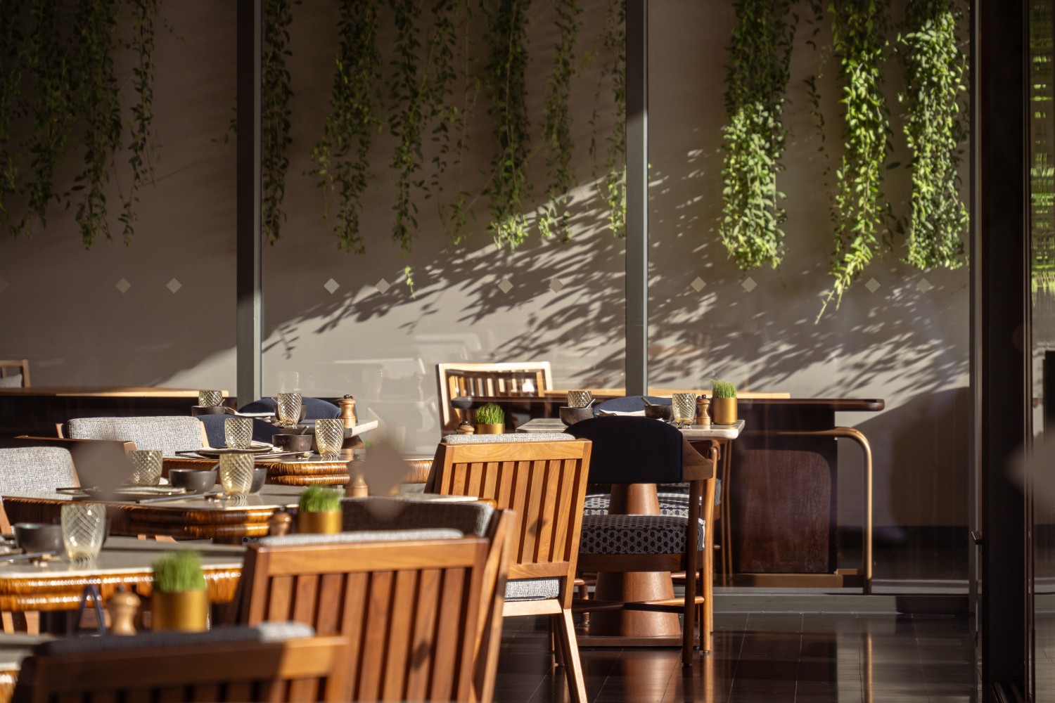 Hinh anh Regent Phu Quoc: Khi di sản không nằm trong ký ức, mà nằm trong trải nghiệm 6