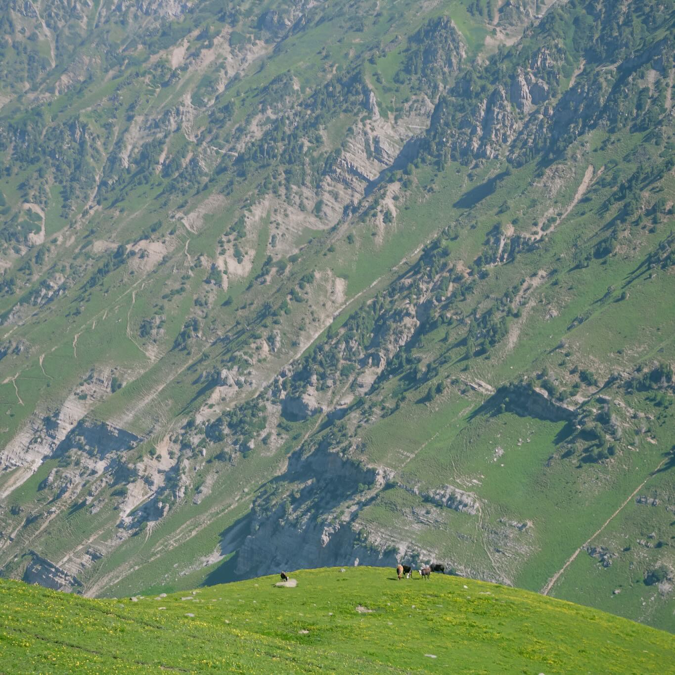 Hinh anh Hành trình qua những giấc mơ: Đi tìm sự tự do bên trong bạn 5