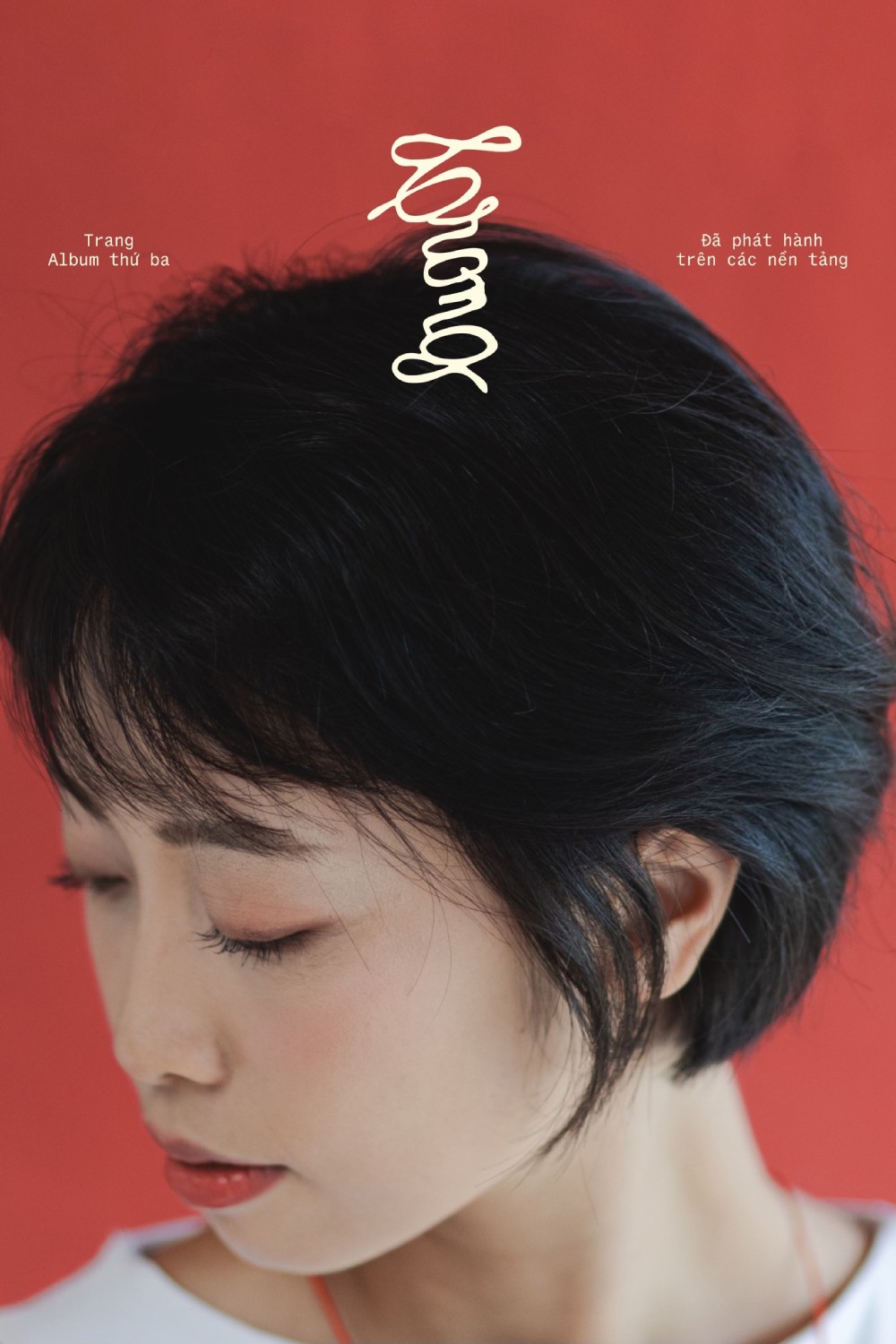 Hinh anh Âm nhạc của buồn đau hay chữa lành trong vụn vỡ 11