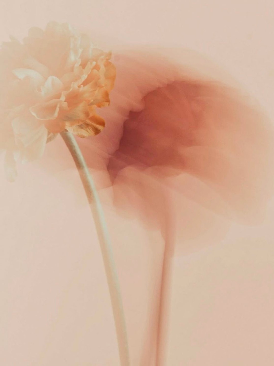 Hinh anh Nắm bắt nghệ thuật đắp mặt nạ giấy với 5 câu hỏi thường gặp  5