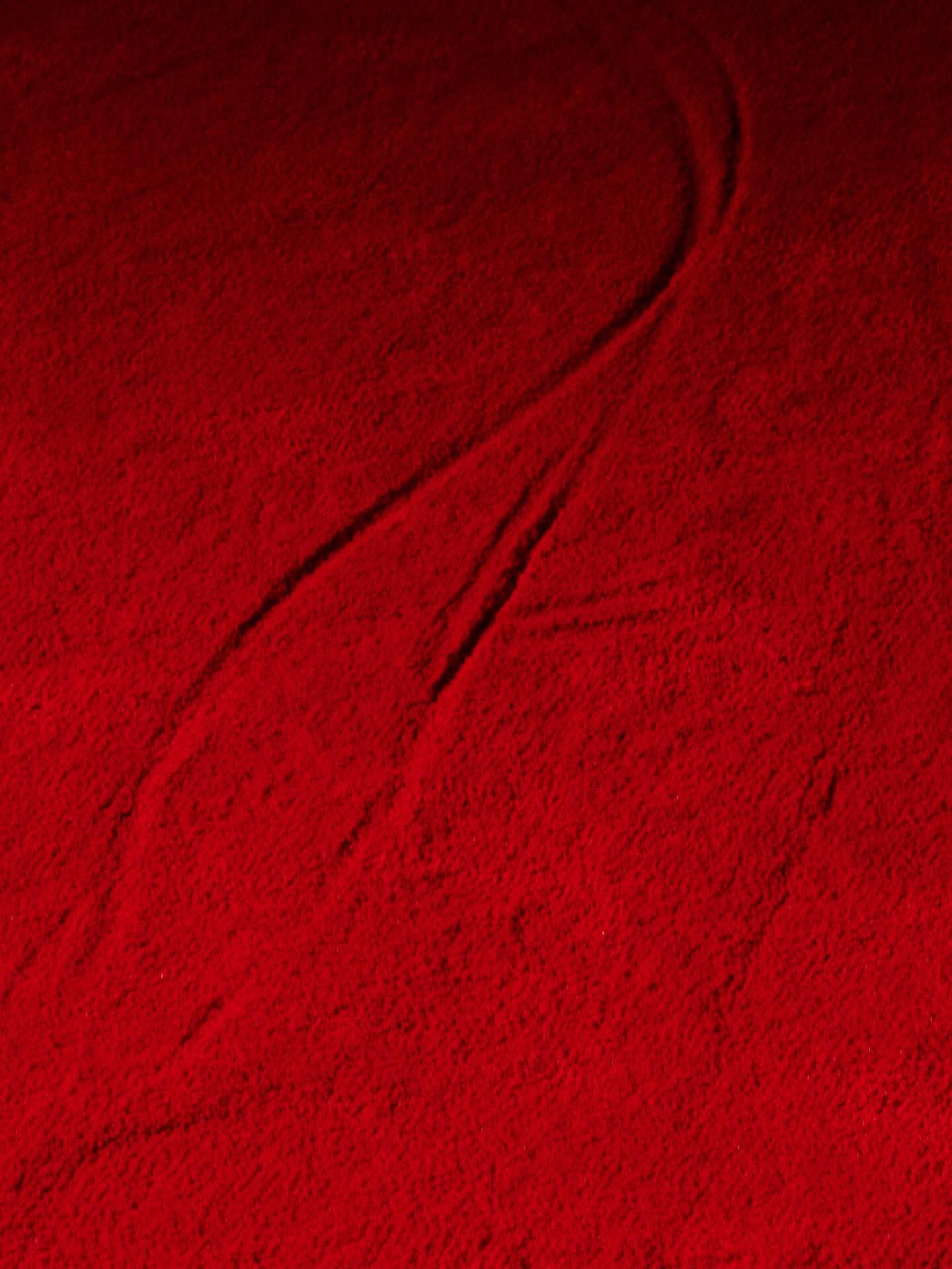 Hinh anh Bottega Vaneta Fall Winter 2026: Thảm đỏ của cấu trúc và chất liệu 1