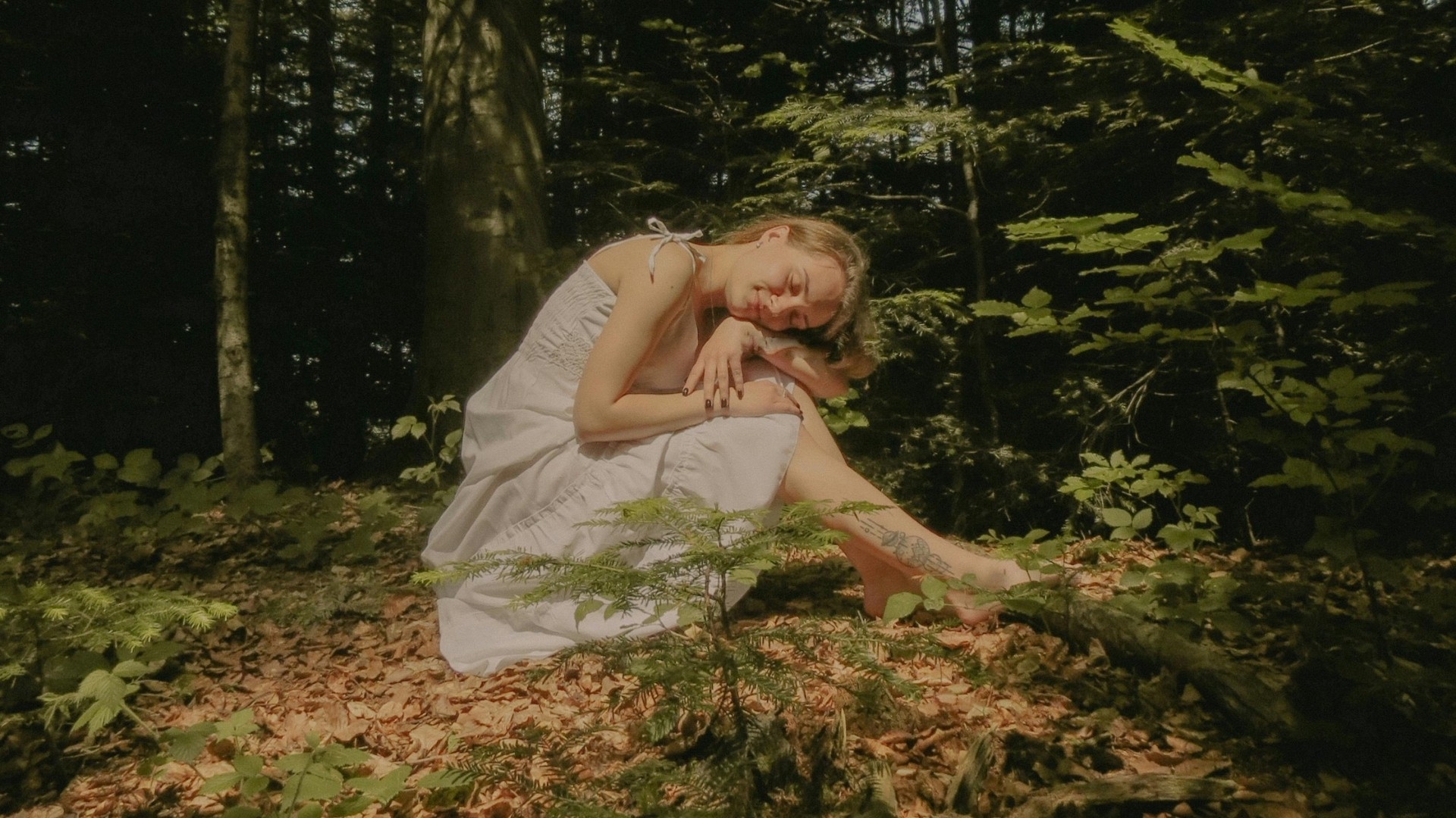 Xuân phân 2026: Tại sao bạn nên ngừng cố gắng và chờ đợi sự tái sinh?