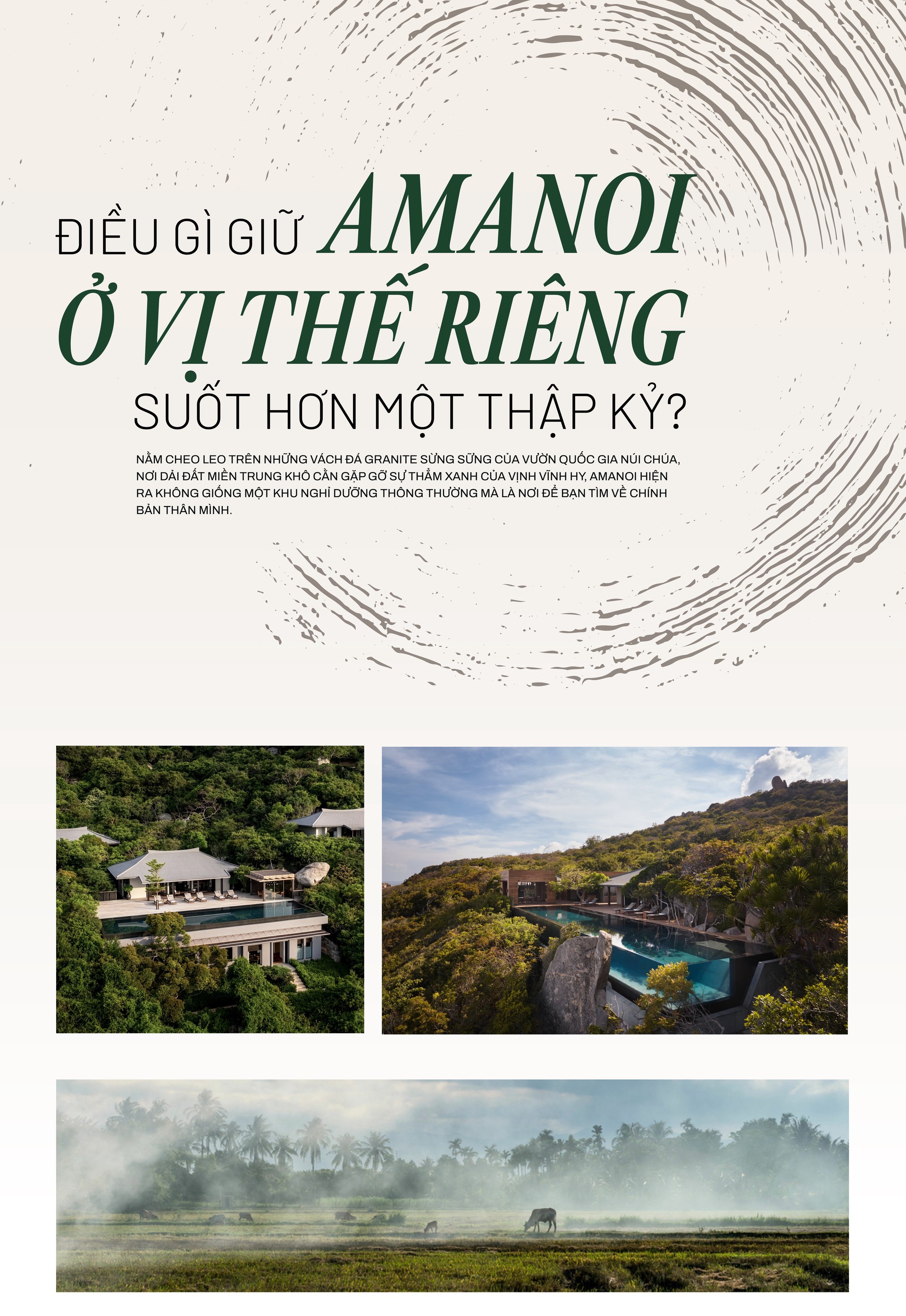 Hinh anh Bài: Andy 1