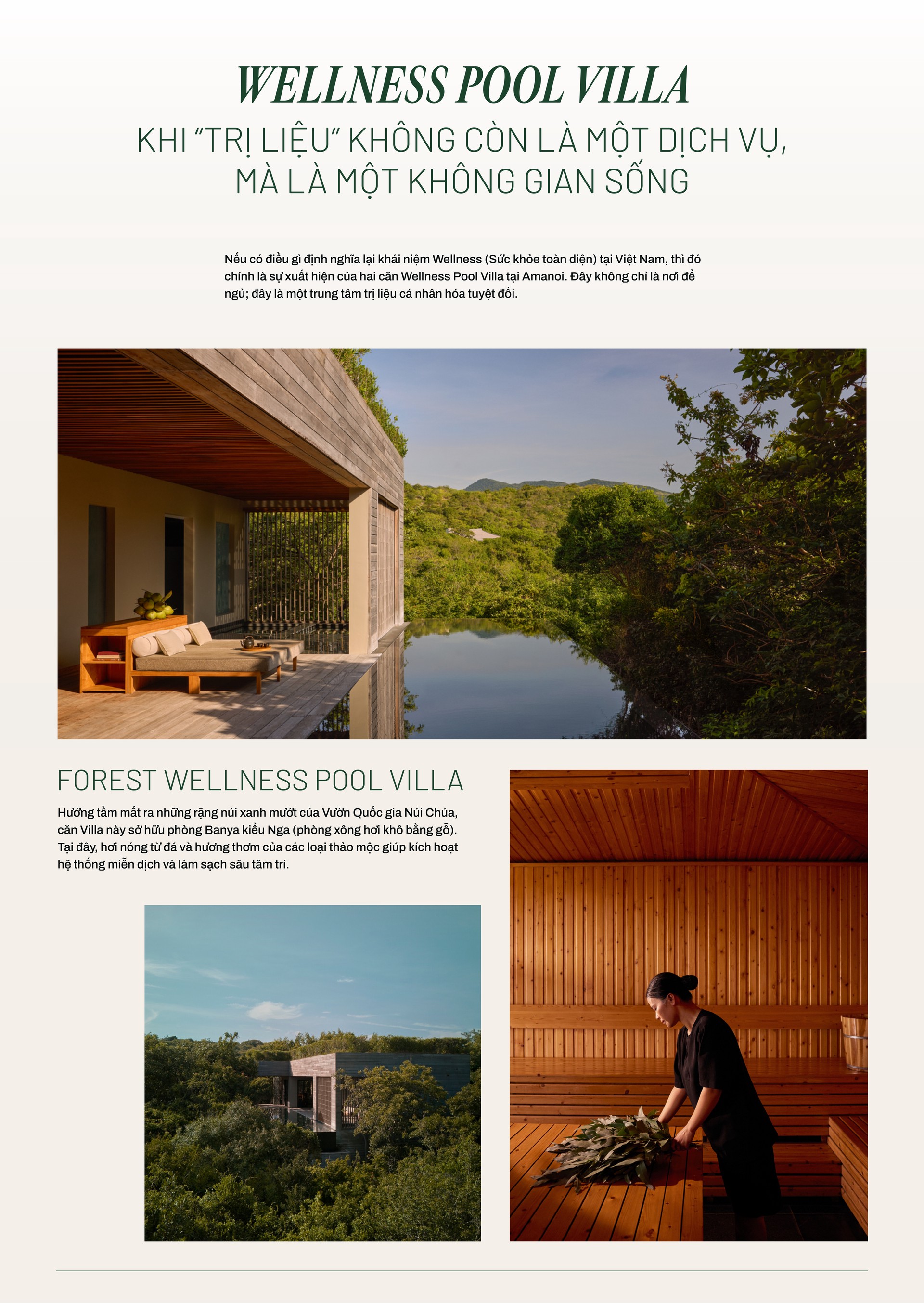 Hinh anh Bài: Andy 7