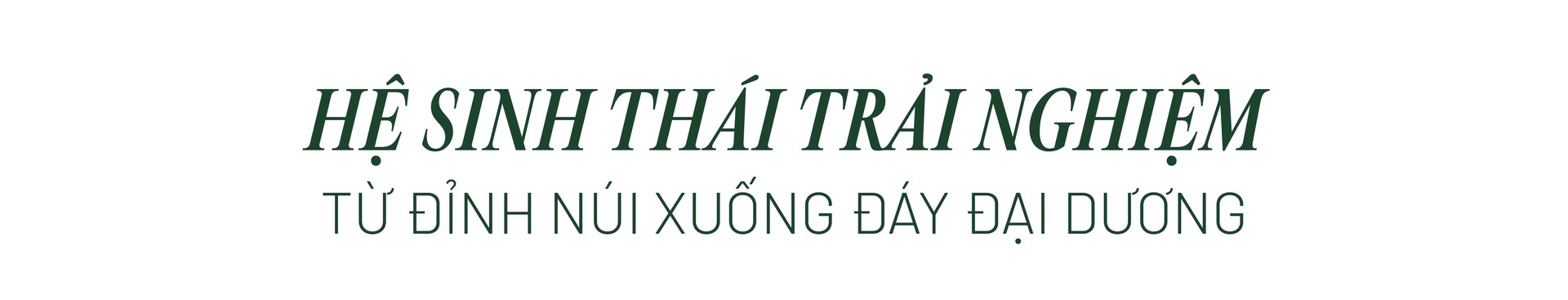 Hinh anh Bài: Andy 9