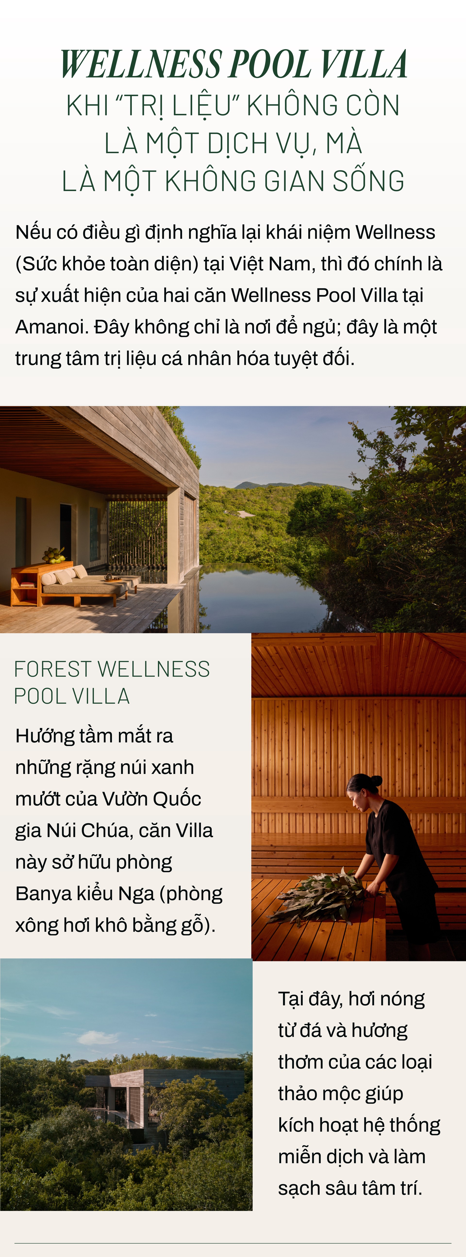 Hinh anh Bài: Andy 6