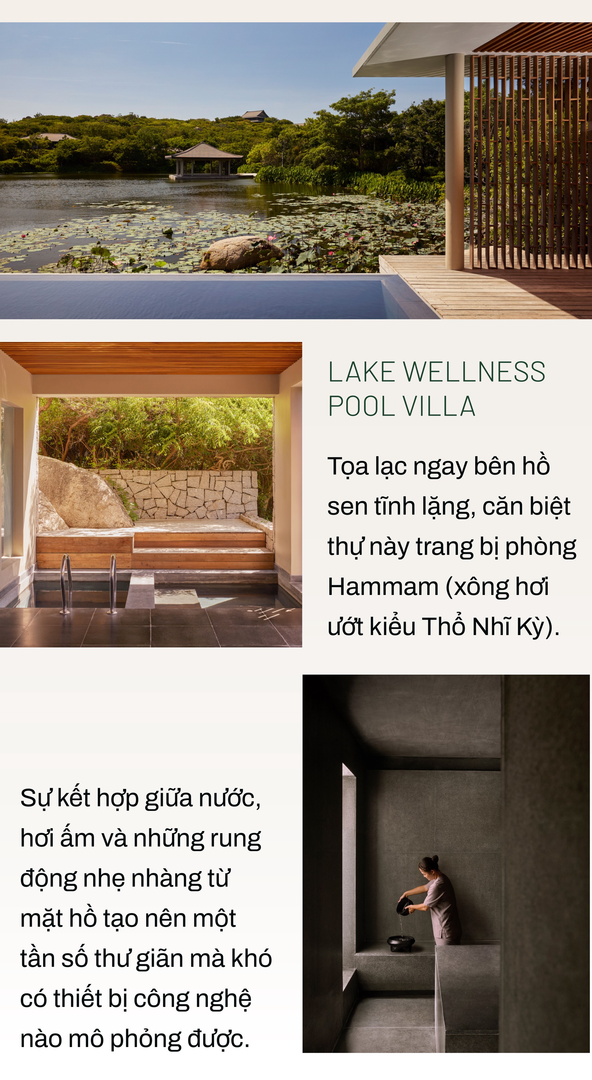 Hinh anh Bài: Andy 8