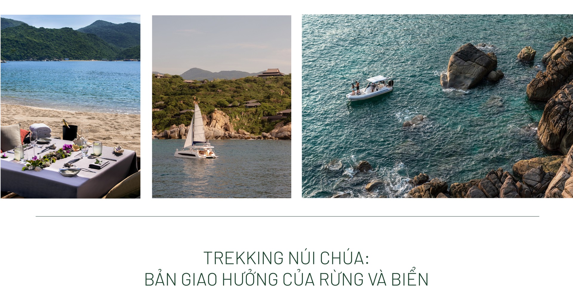 Hinh anh Bài: Andy 13