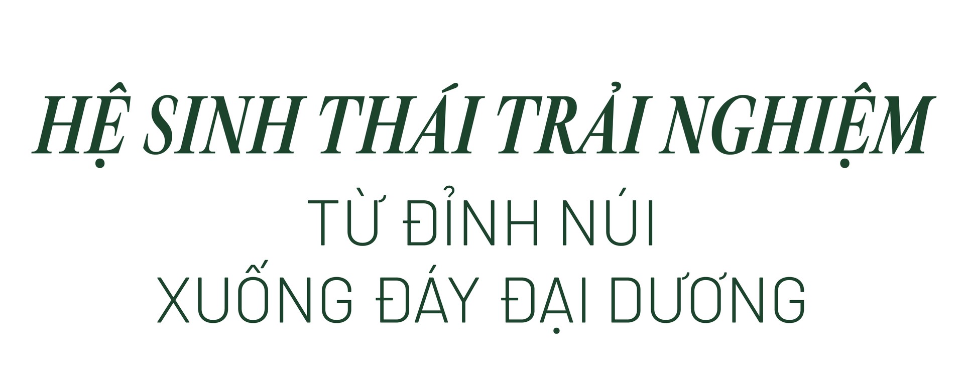 Hinh anh Bài: Andy 10