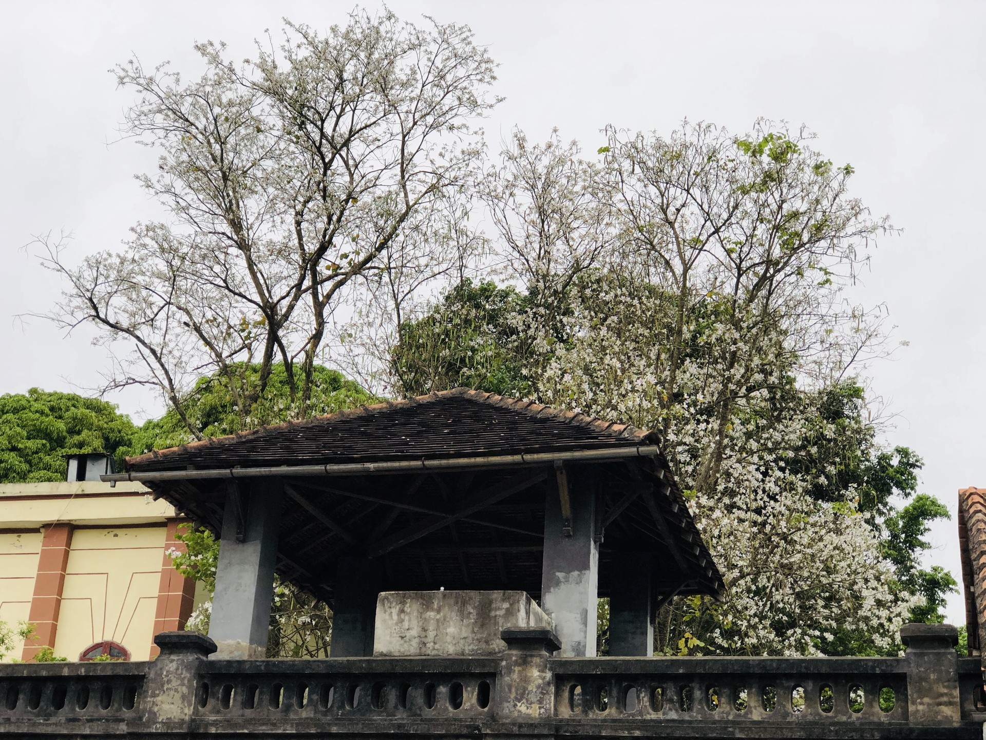 Hinh anh Dấu ấn lịch sử và hành trình đi qua những di sản bằng đá 5