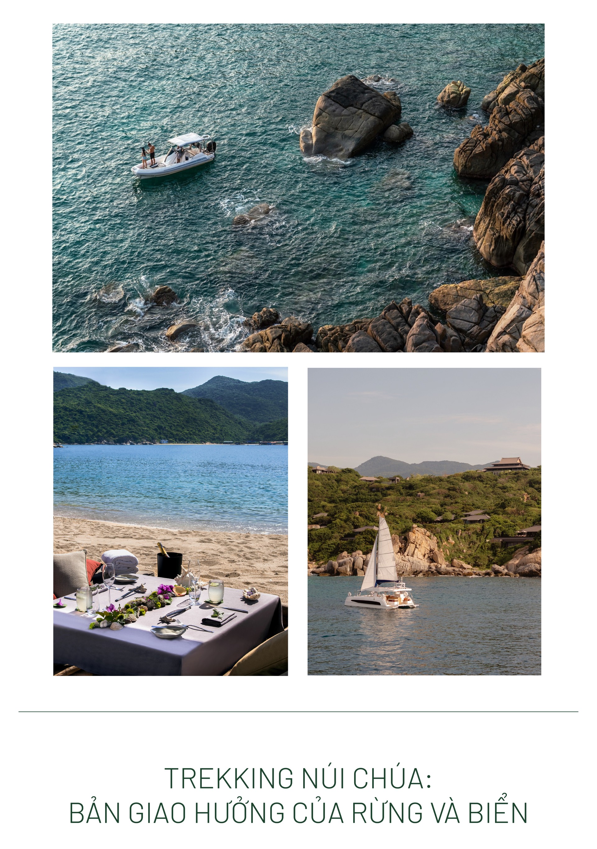 Hinh anh Bài: Andy 14