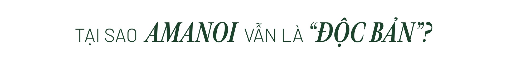 Hinh anh Bài: Andy 20