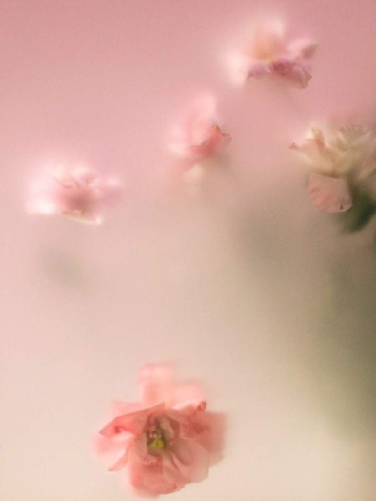 Hinh anh Dầu khoáng, silicone, PEG trong mỹ phẩm và góc nhìn toàn diện về những dẫn xuất từ dầu mỏ 4