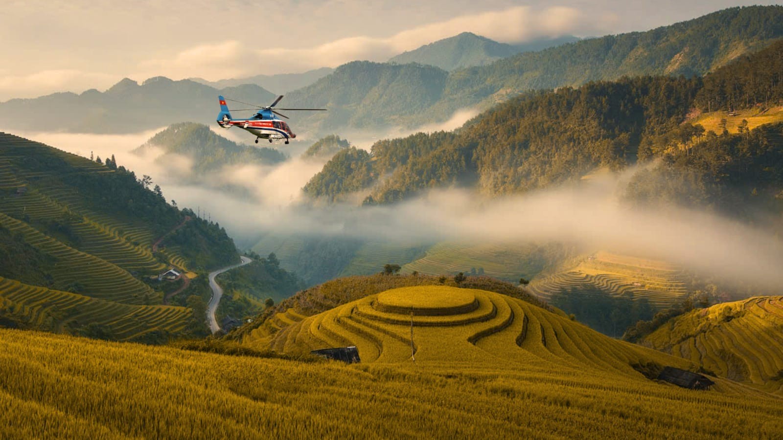 Hinh anh Garrya Mù Cang Chải: Về nơi sương núi thoảng hương rừng 17