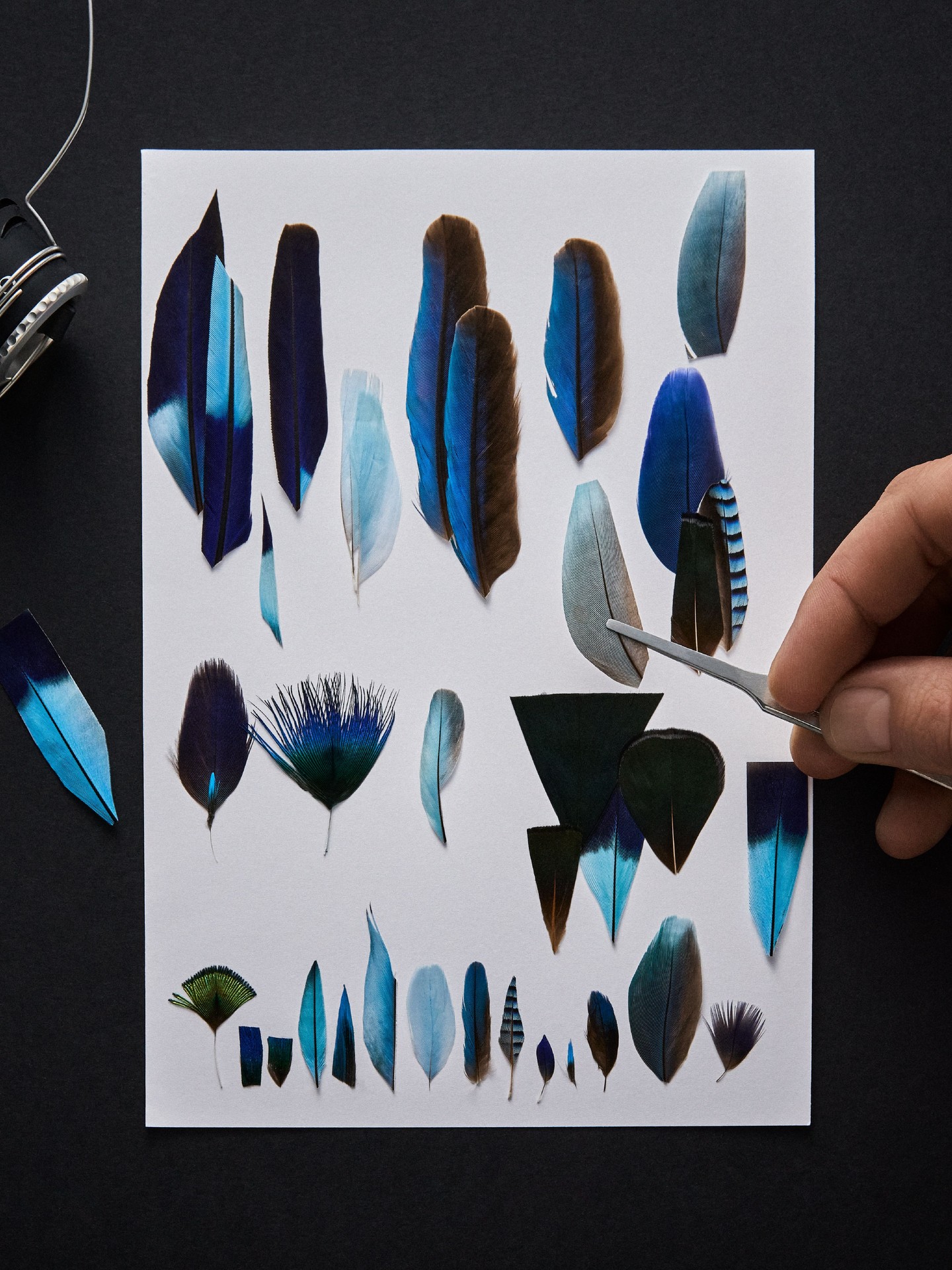 Hinh anh Di sản khăn lụa Gucci thành những tác phẩm High Watchmaking đầy nghệ thuật tại Watches & Wonders 2026 3