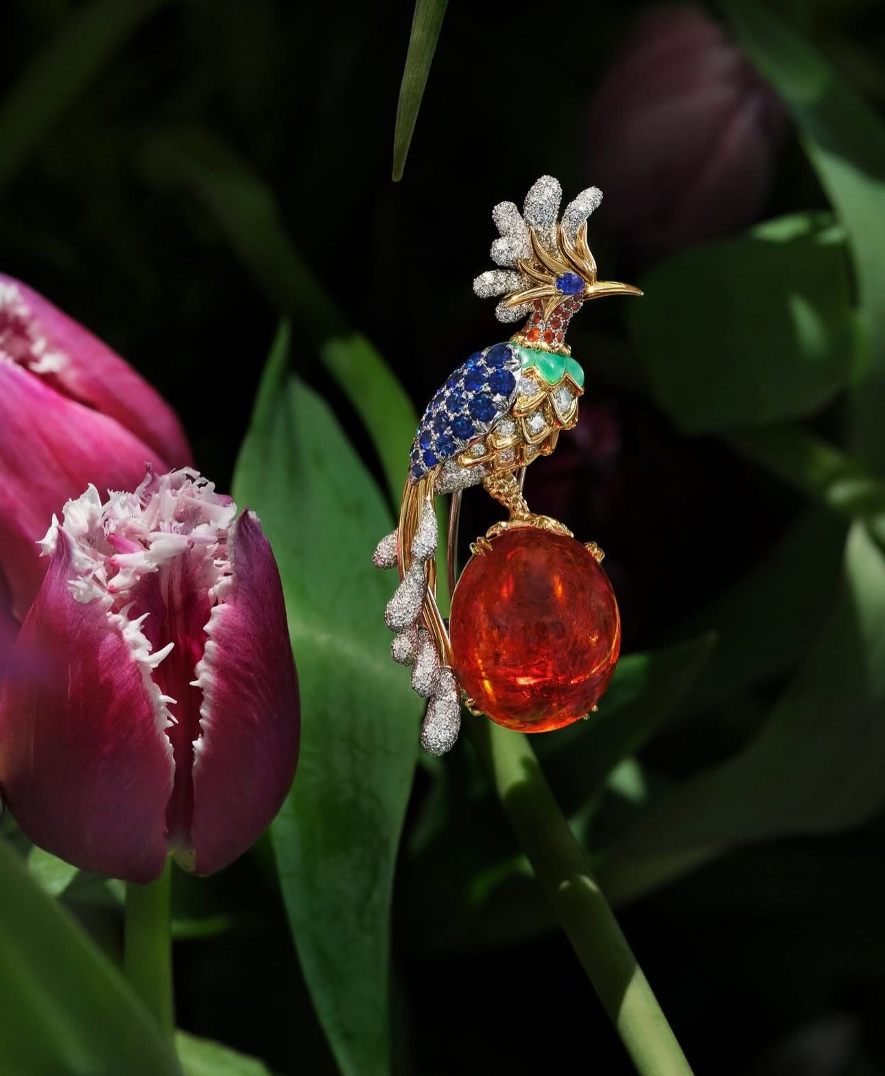 Hinh anh Blue Book 2026 - Chương Xuân: Bản tình ca trong khu vườn cổ tích 12