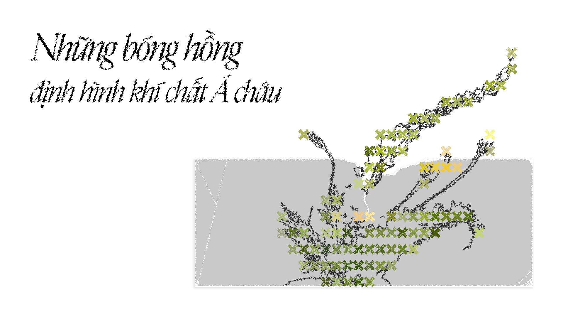 Hinh anh Những bóng hồng định hình khí chất Á châu 1