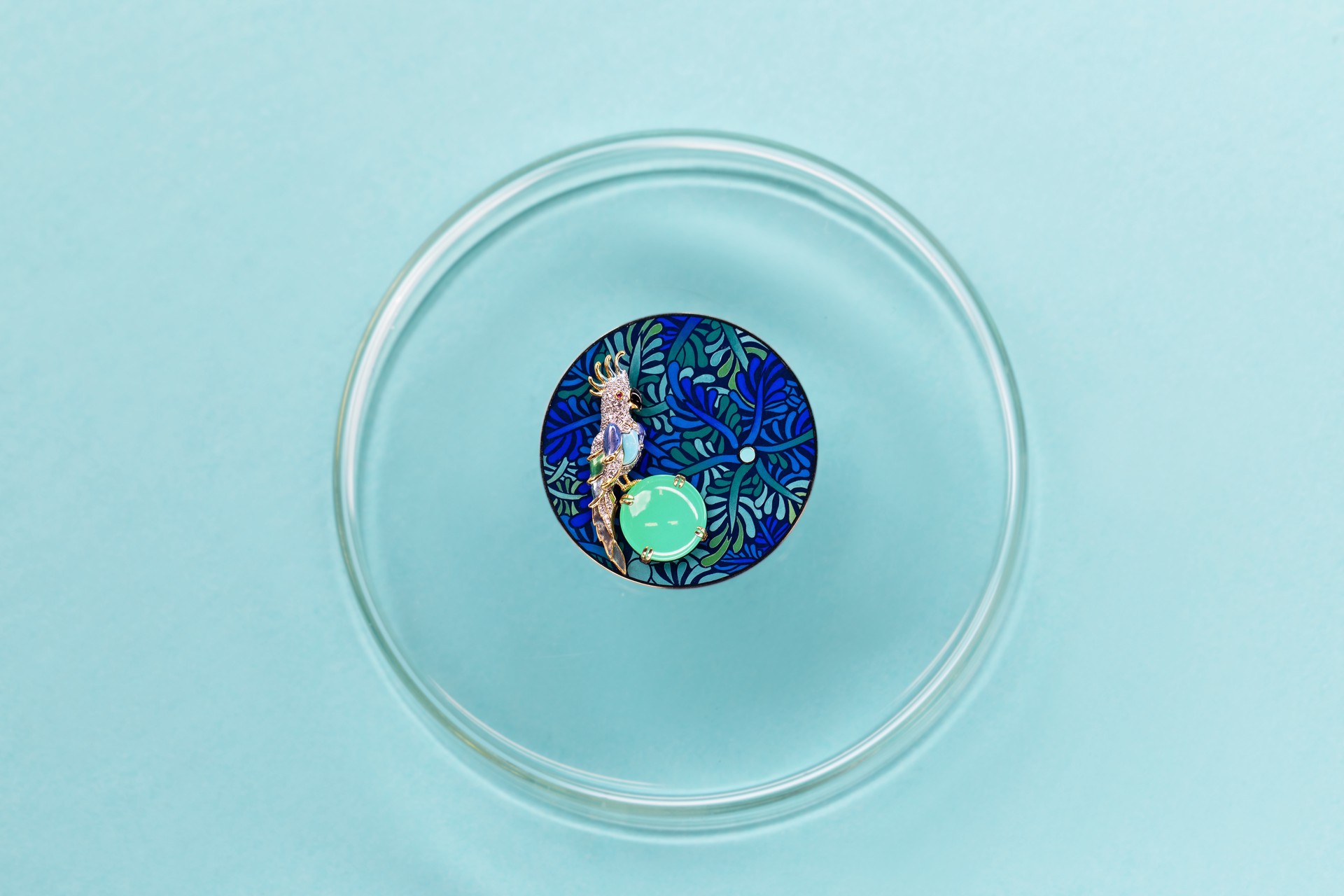 Hinh anh Tiffany & Co. ra mắt đồng hồ High Jewelry Paradise Bird Parrot trong Blue Book 2026: Hidden Garden 5