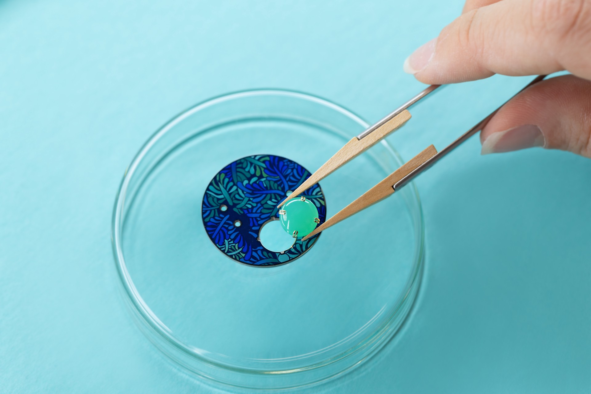 Hinh anh Tiffany & Co. ra mắt đồng hồ High Jewelry Paradise Bird Parrot trong Blue Book 2026: Hidden Garden 3