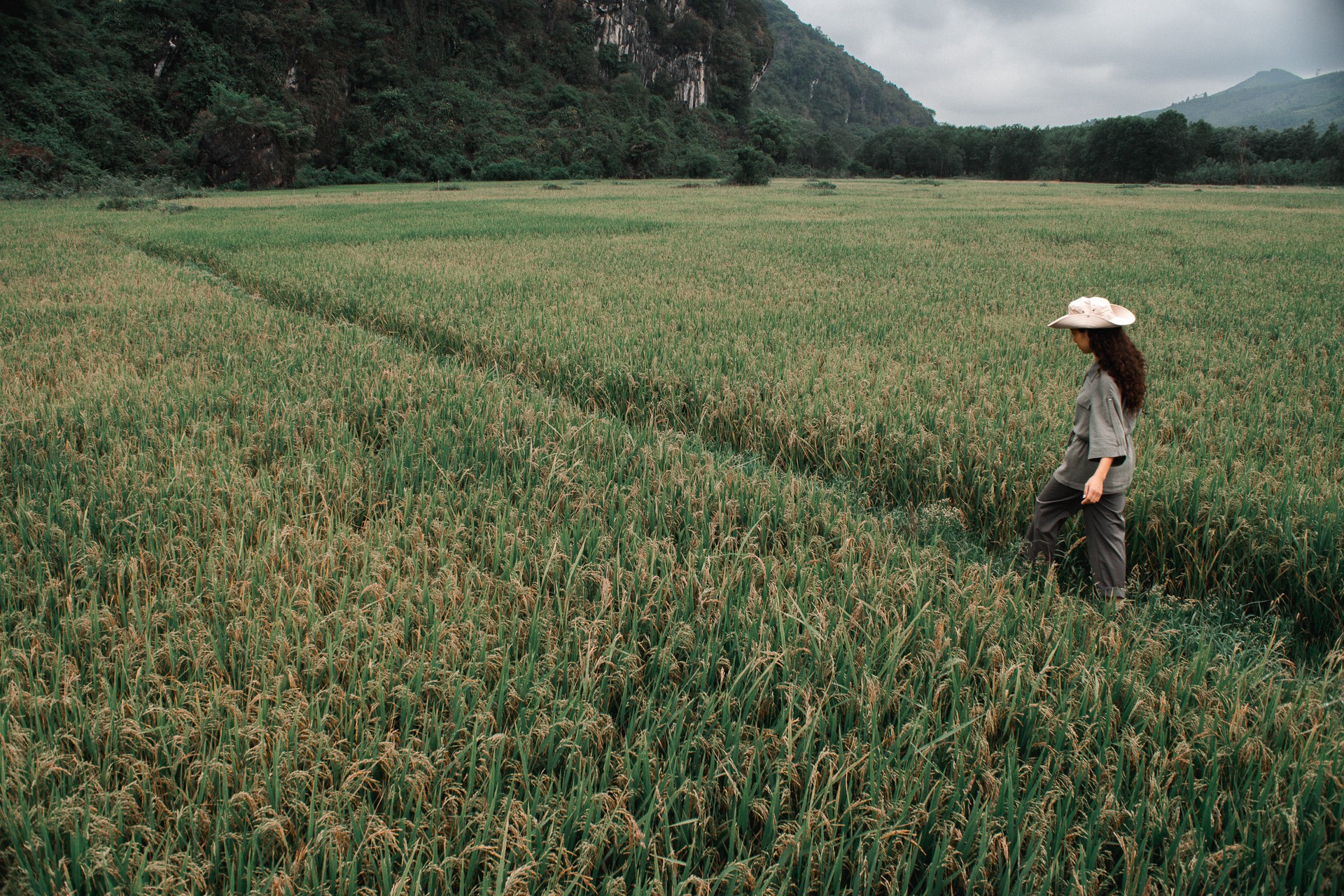 Hinh anh Phong Nha - Kẻ Bàng và dòng sông Son những ngày không vội 2