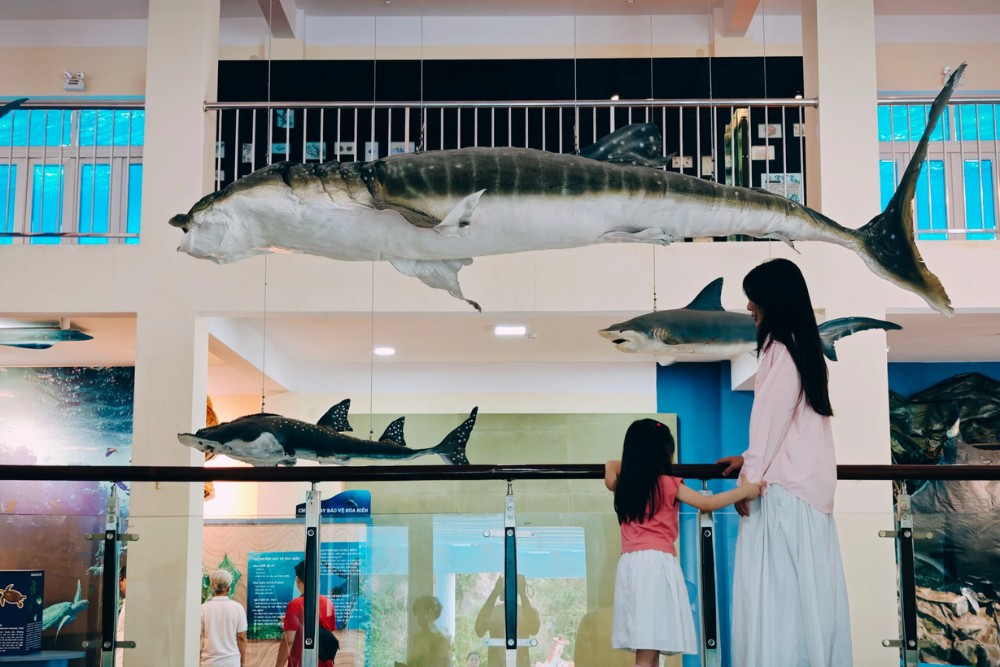 Hinh anh Địa chỉ: 2