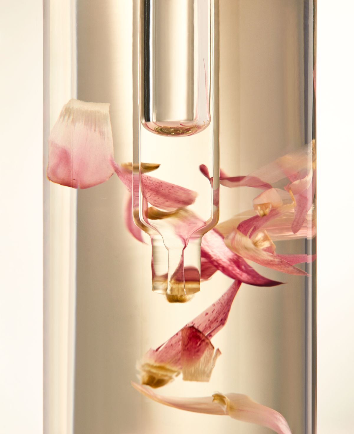 Hinh anh Chọn nước hoa bằng hình ảnh: Bước đi mới của Jo Malone London và Pinterest 4