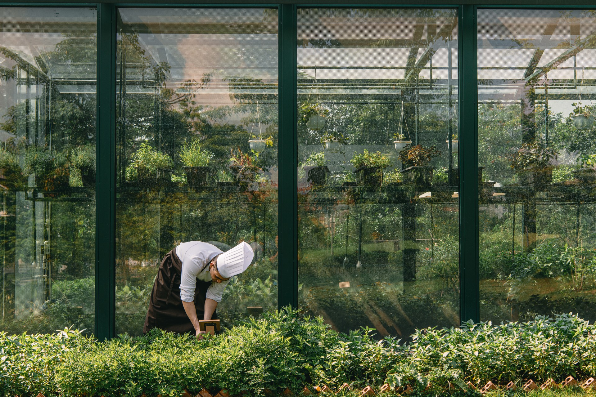 Hinh anh Tâm điểm của Garden Party chính là bàn tiệc dài, nơi ranh giới giữa những người tham gia được xóa nhòa qua từng món ăn sẻ chia và những câu chuyện chân thành. 2