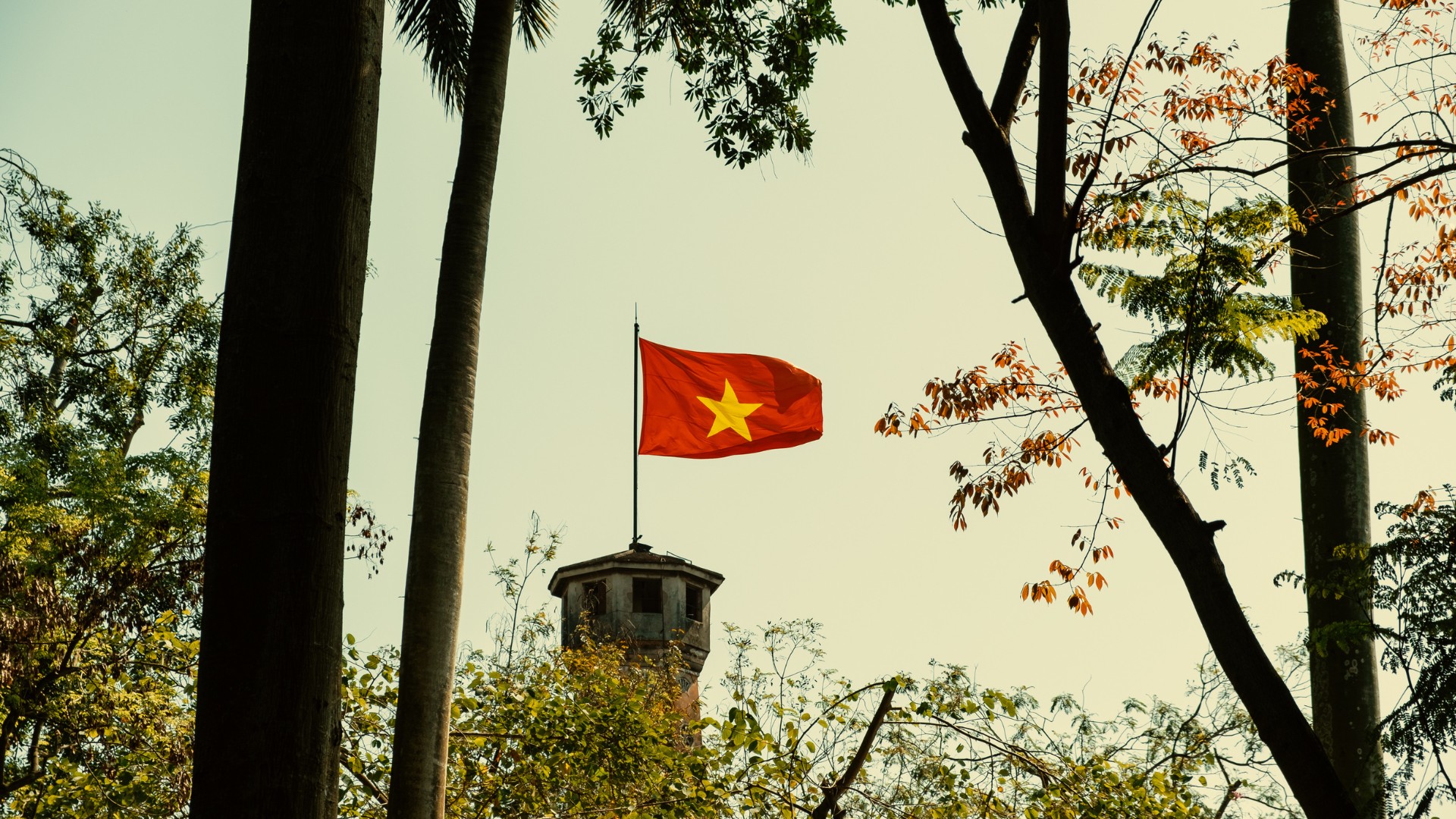 Hinh anh Một thế hệ đầu bếp Việt Nam mới đang dẫn đầu xu hướng. Đó là những người trẻ từng học tập, rèn luyện ở nước ngoài, giờ đây chọn quay trở về quê hương. Những món ăn được bắt rễ sâu xa từ nguyên liệu bản địa, nuôi dưỡng bởi ký ức tuổi thơ và thắp sáng bởi niềm tự hào dân tộc. 14