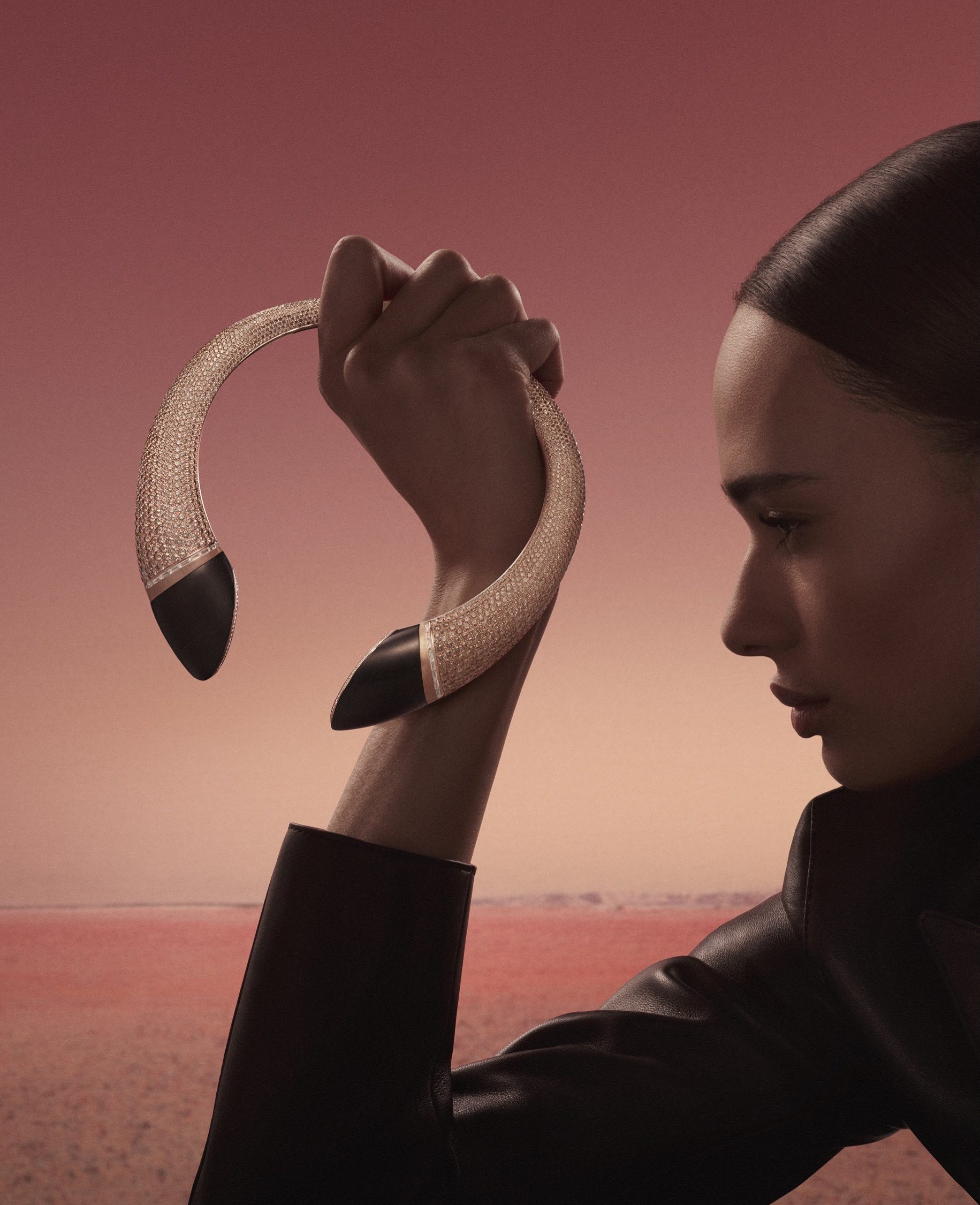 Hinh anh Into The Horsescape: Dấu yên cương giữa miền đá quý Hermès 3