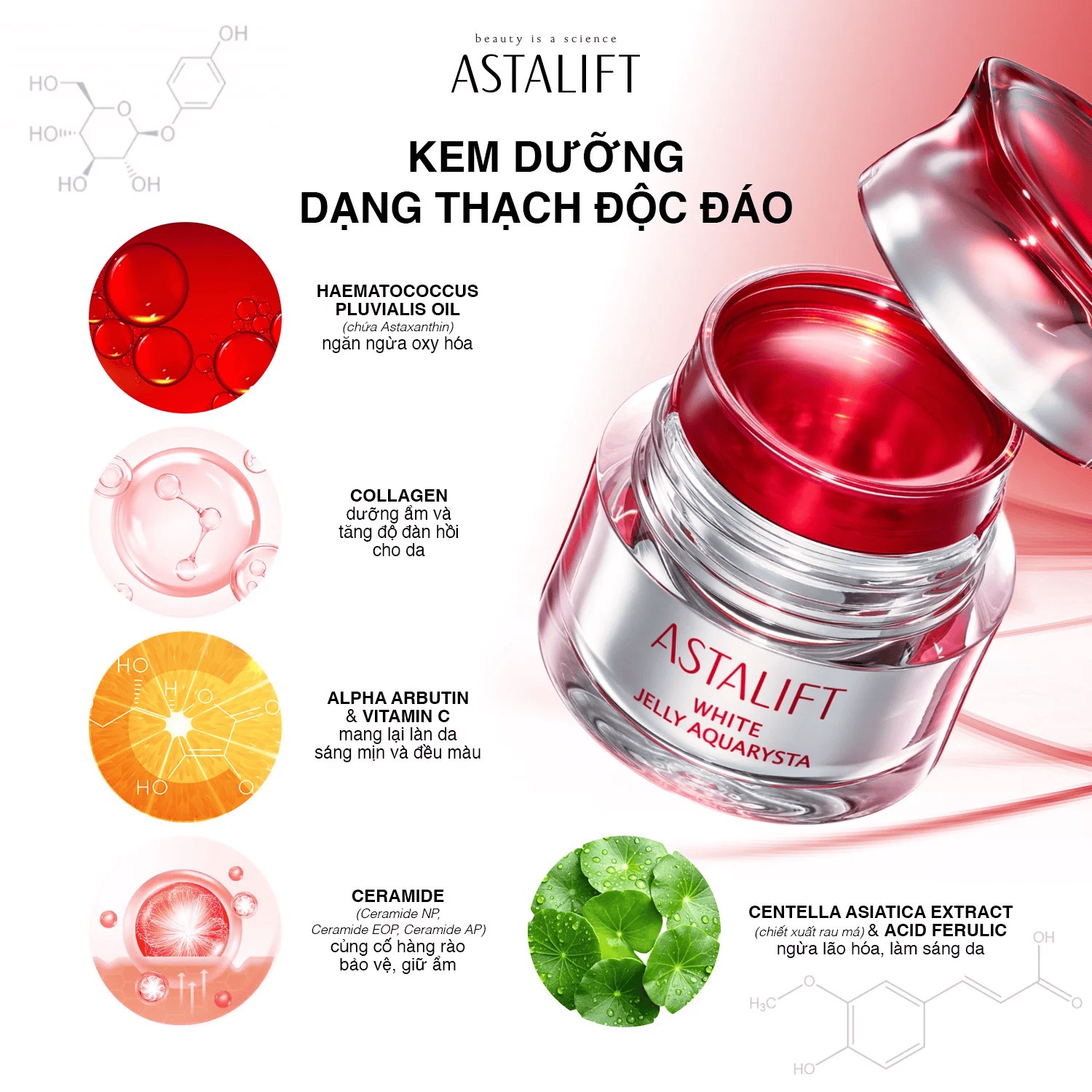 Hinh anh Astalift Jelly Aquarysta chinh phục bài toán lão hóa bằng công nghệ nhiếp ảnh 4