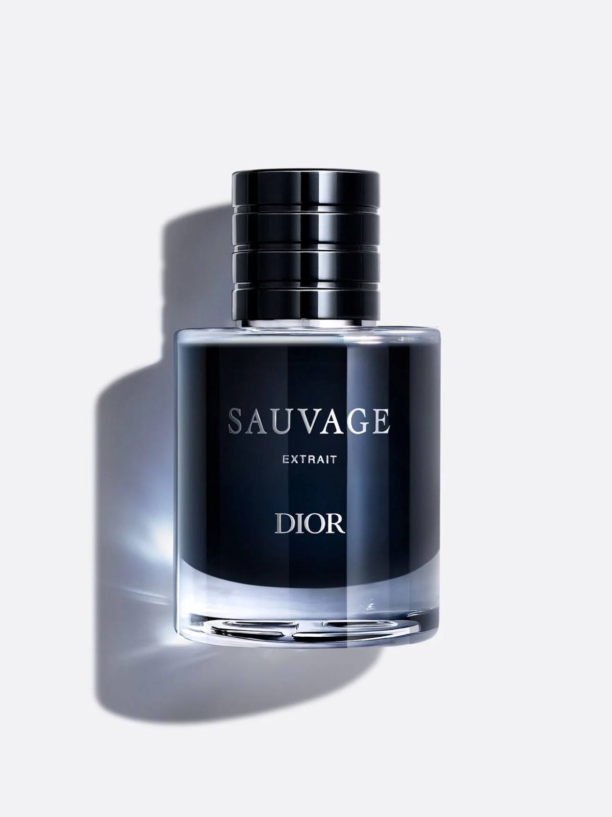 Hinh anh Dior Sauvage Extrait: Dấu hương mới khởi sinh từ những cánh rừng Việt Nam   4
