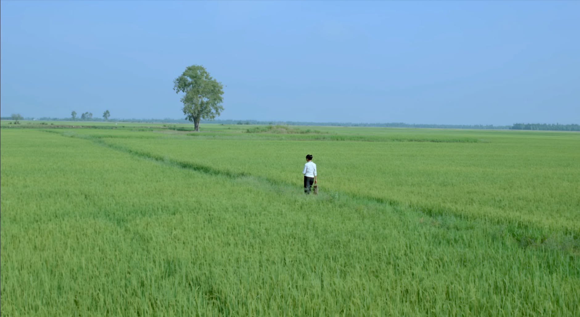 Hinh anh Starring: Đồng sáng lập Co-founder of BHD, Vietnam Media and Vietnam Studio 2