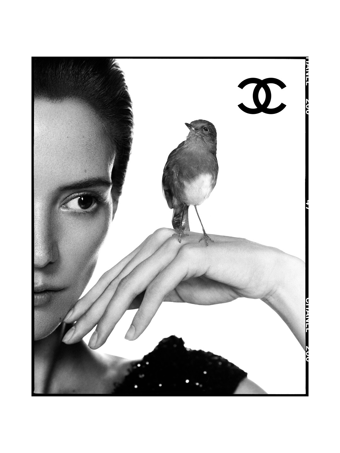 Hinh anh CHANEL Spring/Summer 2027: Di sản sống, ký ức vật chất và sự nhẹ tênh như cánh chim 3