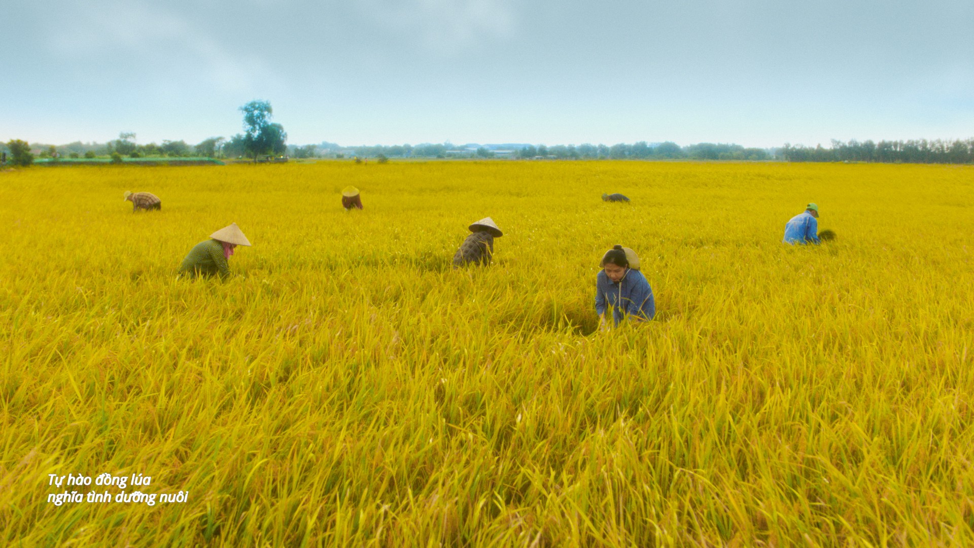 Hinh anh Không cần đến những âm thanh được thay đổi liên tục mà vẫn mang đến được những cảm xúc mới mẻ, giữ chân người nghe cho đến sau cùng. 3