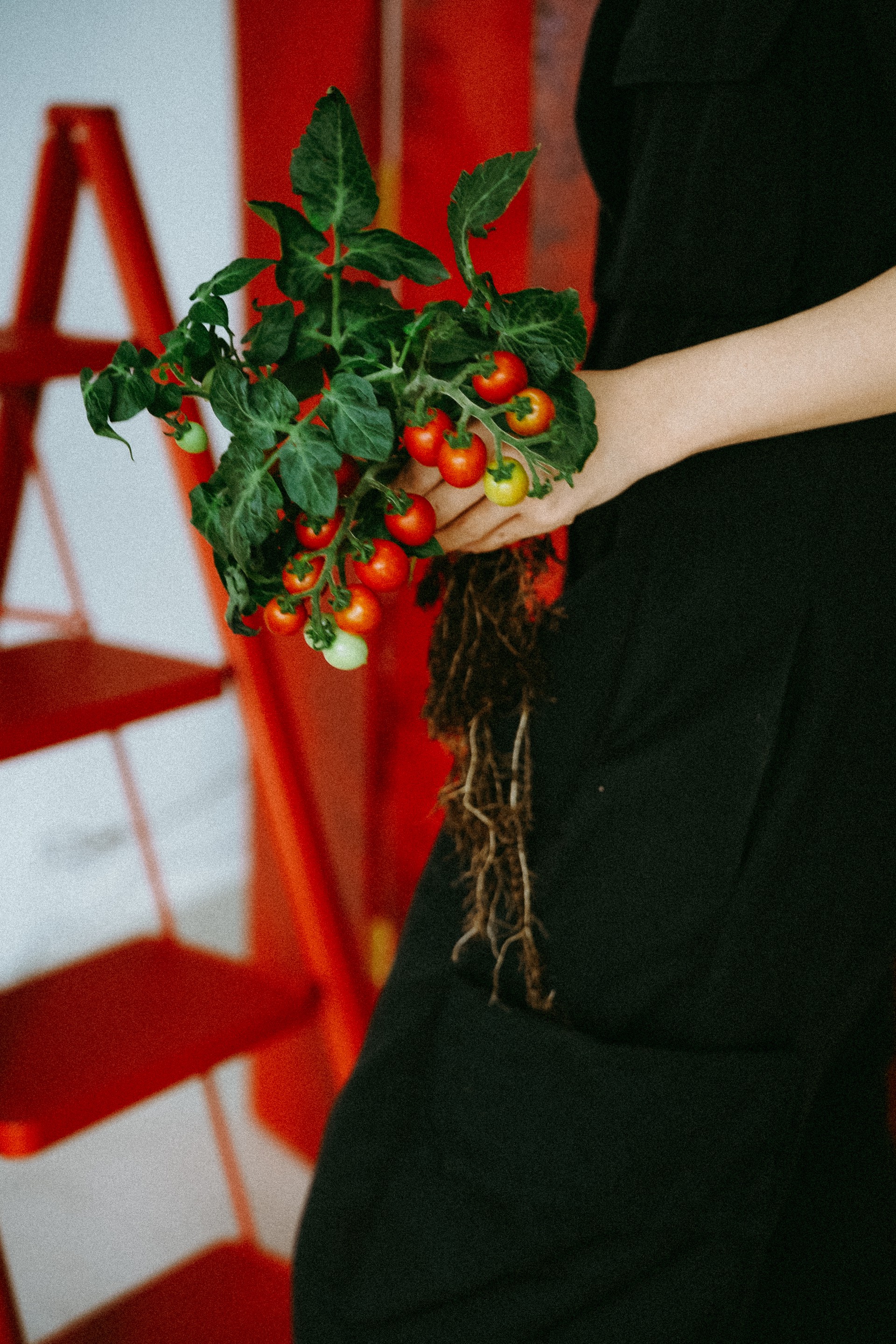 Hinh anh The Bloom Saigon: Khi hoa và thực vật trở thành chất liệu của nghệ thuật đương đại 4
