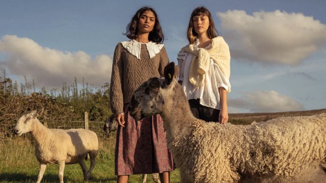 Từ đàn cừu đến sàn dệt: Hành trình tái sinh của len Pháp 