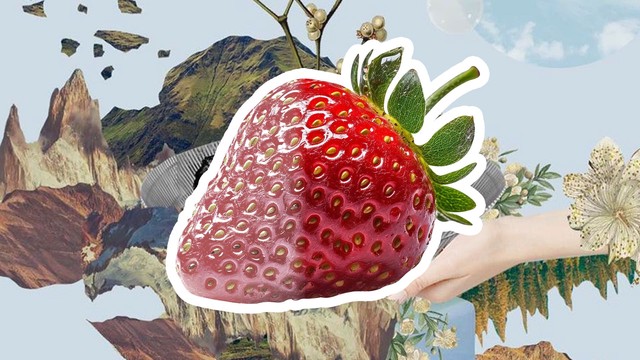 Biến đổi khí hậu ảnh hưởng thế nào đến sức khỏe kinh nguyệt?