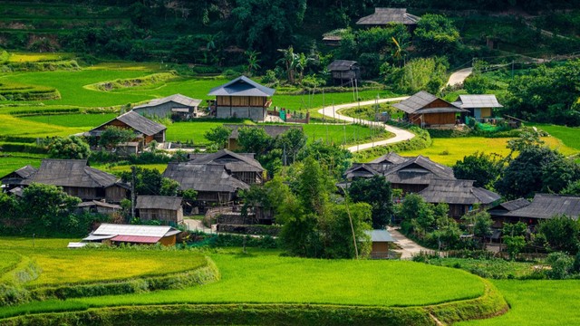 Nếp Tú Lệ - nữ hoàng trong ẩm thực Tây Bắc  