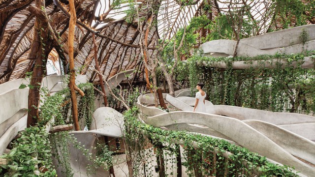 Biophilic Design: Tại sao chúng ta cần đưa thiên nhiên vào nhịp sống hiện đại?