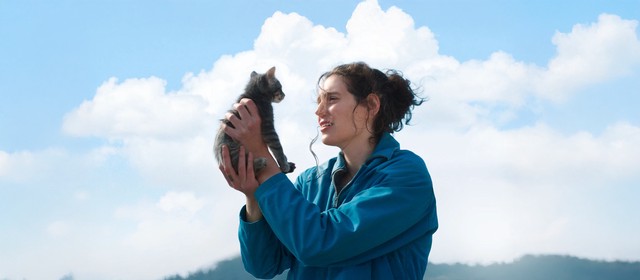 Xin lỗi, bé cưng