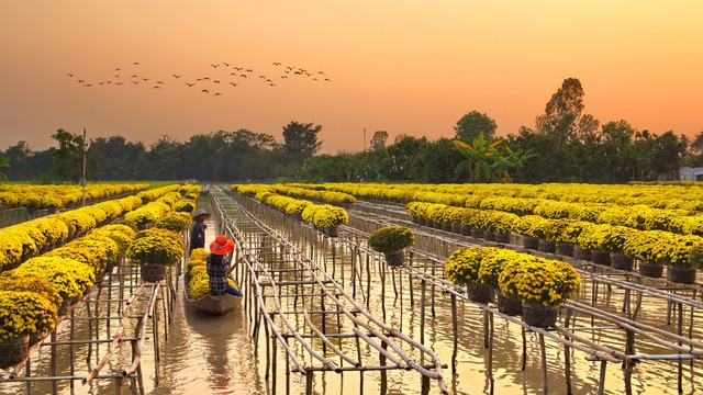 Lục tỉnh Nam Kỳ: Hành trình tìm về những "di sản sống" bên dòng Mekong