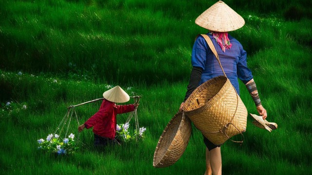 Ngày Quốc tế Phụ nữ Nông thôn 15/10: Những bất bình đẳng giới phía sau đồng ruộng